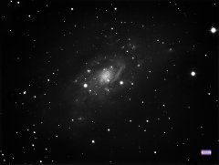 NGC 2403